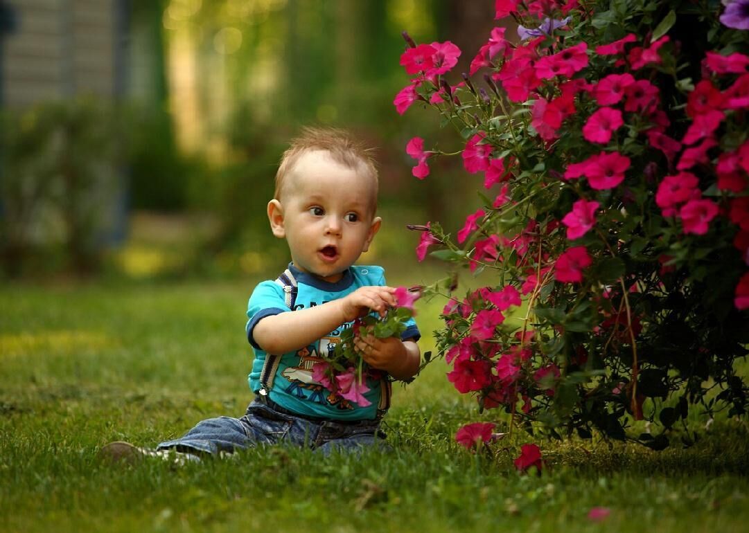 #2. Noah (for boys)